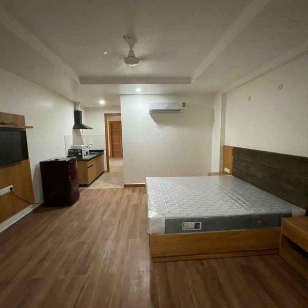 1RK · Furnished · Apartment