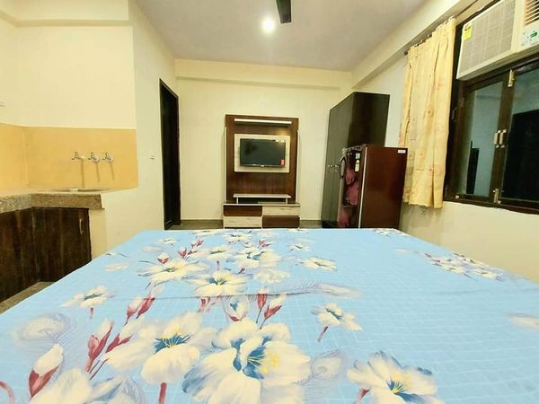 1RK · Furnished · Apartment
