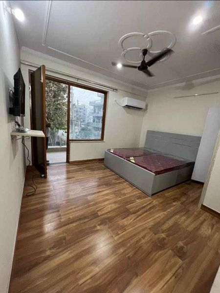 1RK · Furnished · Apartment