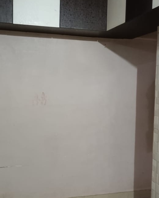 1RK · Semi Furnished · Apartment