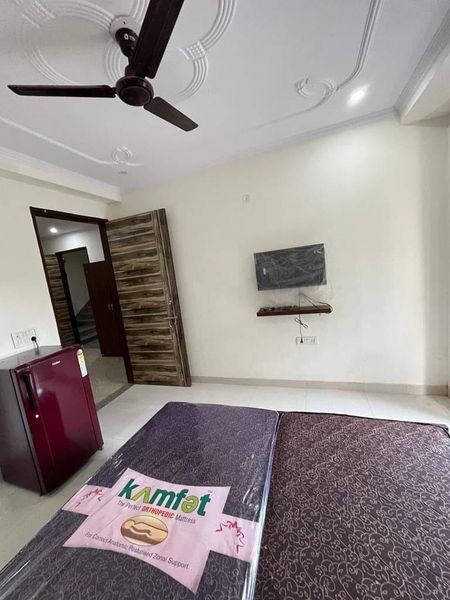 1RK · Furnished · Apartment