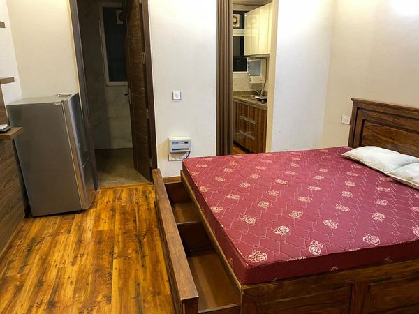 1RK · Furnished · Apartment