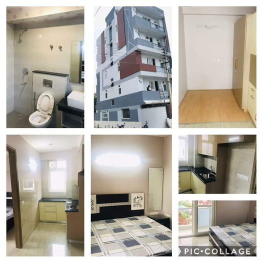 1RK · Furnished · Apartment