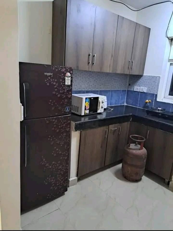 1RK · Furnished · Apartment