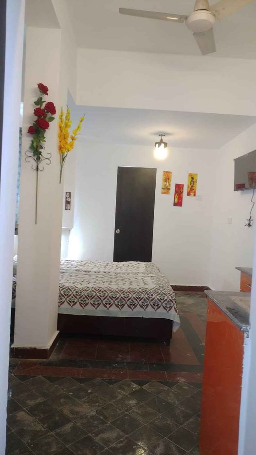 1RK · Furnished · Apartment