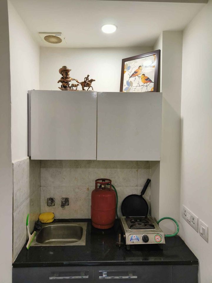 1RK · Furnished · Apartment