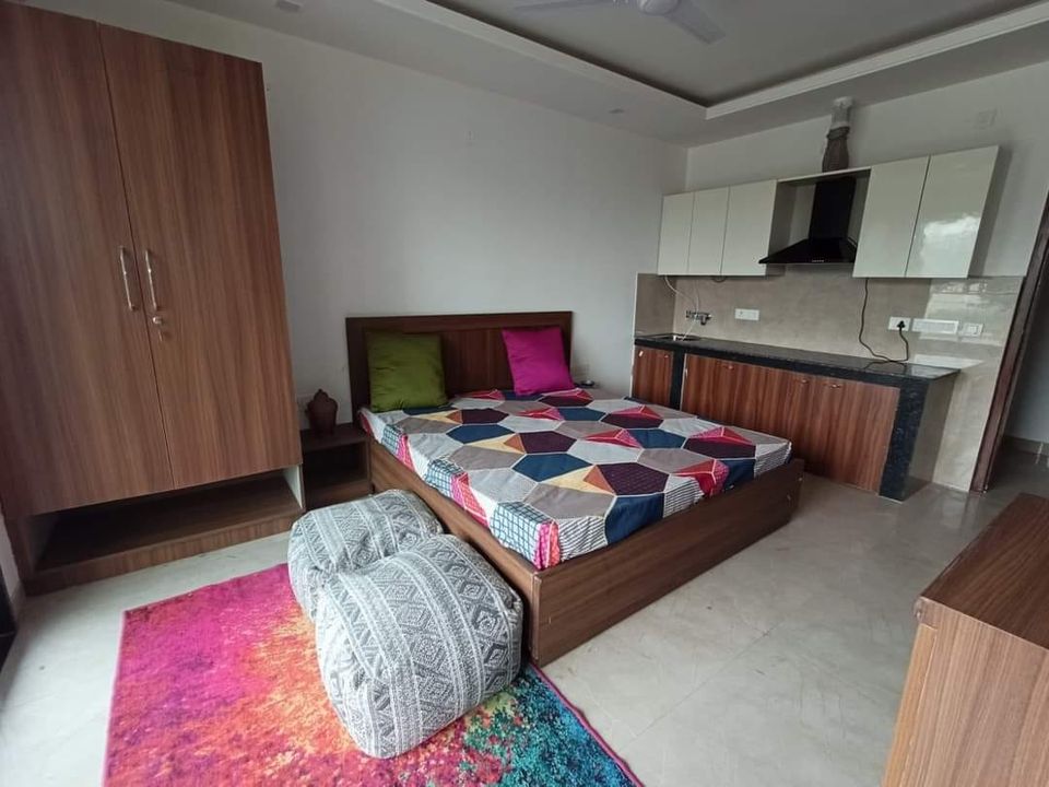1RK · Furnished · Apartment