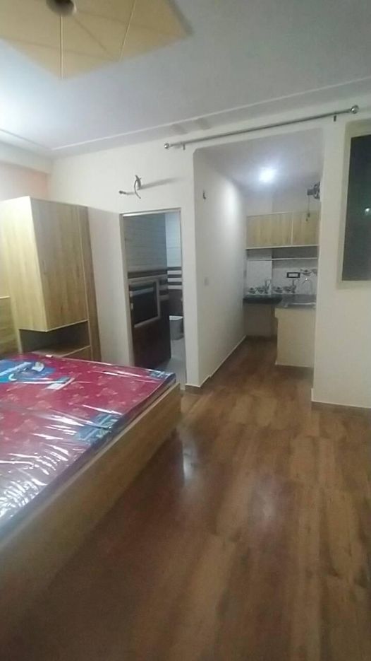 1RK · Furnished · Apartment