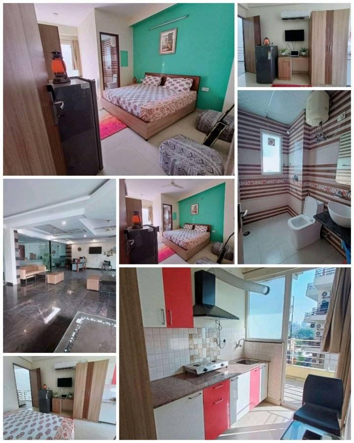 1RK · Furnished · Apartment