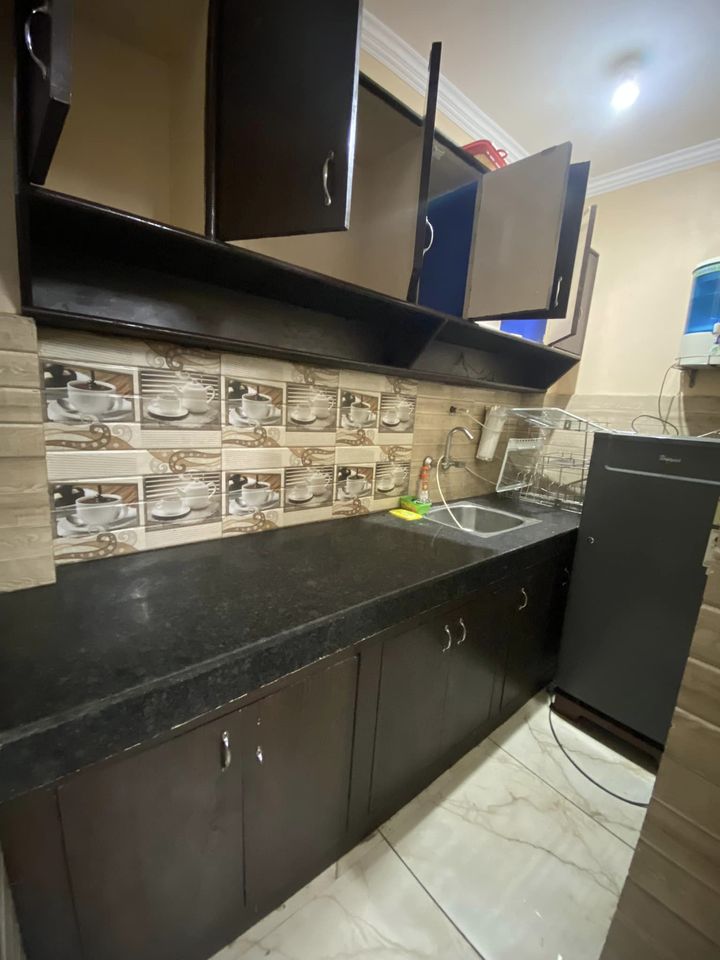 1RK · Furnished · Apartment