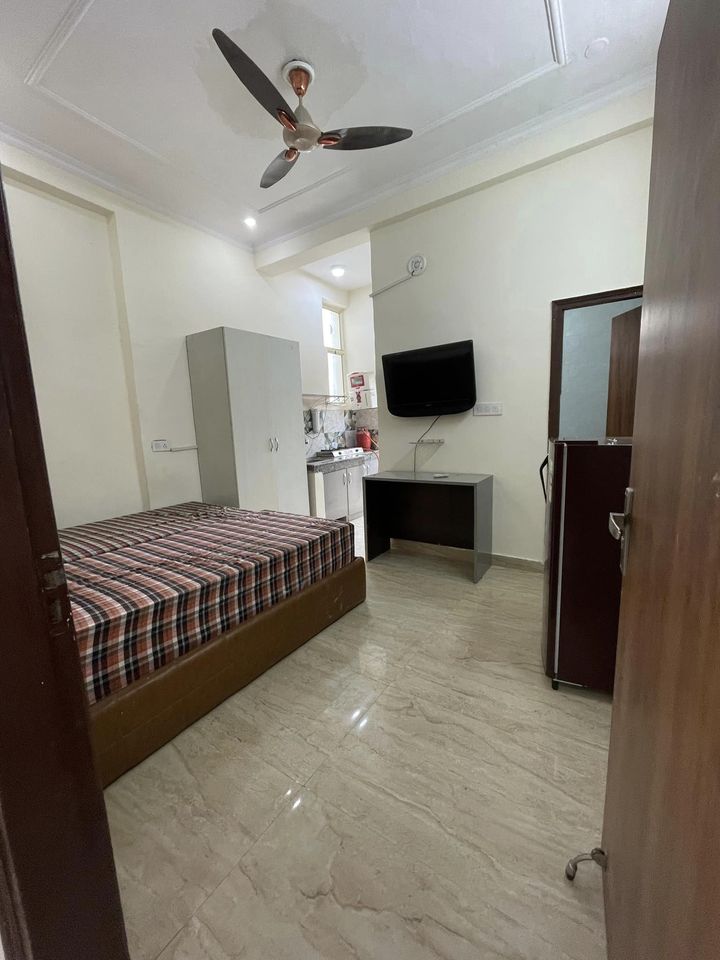 1RK · Furnished · Apartment