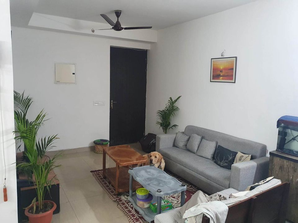 3BHK · Furnished · Apartment