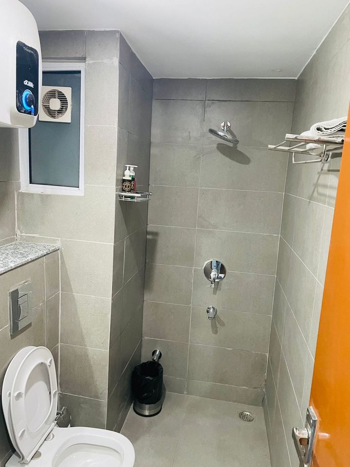 1RK · Furnished · Apartment