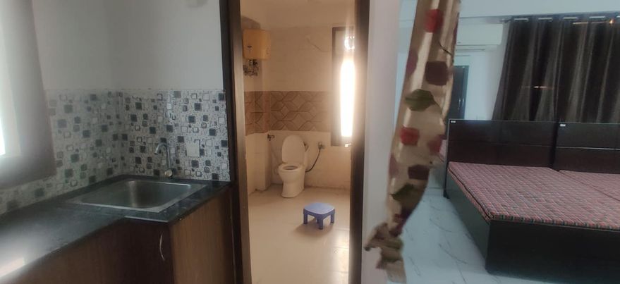 1RK · Furnished · Apartment