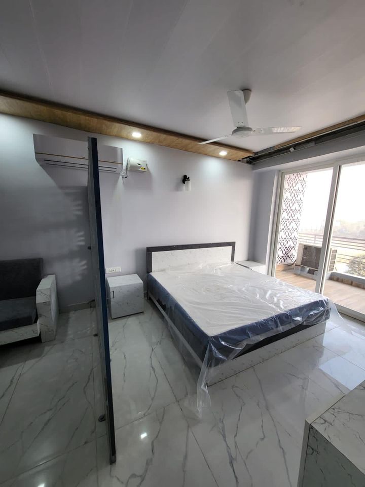 1RK · Furnished · Apartment