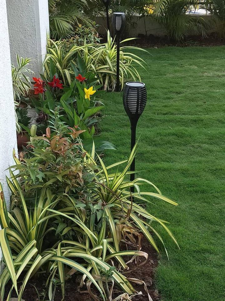 3BHK · Furnished · Apartment