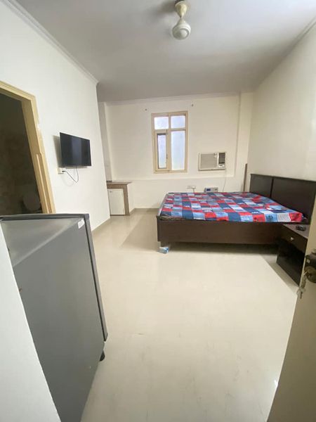 1RK · Furnished · Apartment
