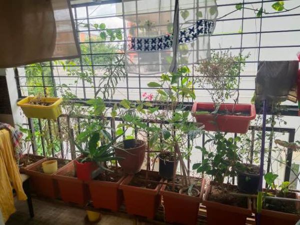 2BHK · Furnished · Apartment