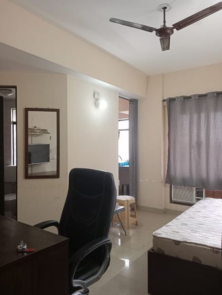 1RK · Furnished · Apartment