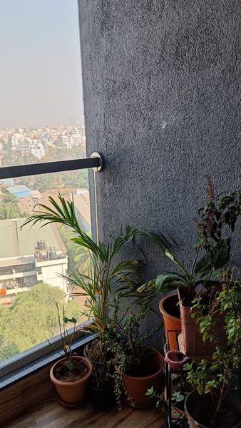 2BHK · Furnished · Apartment