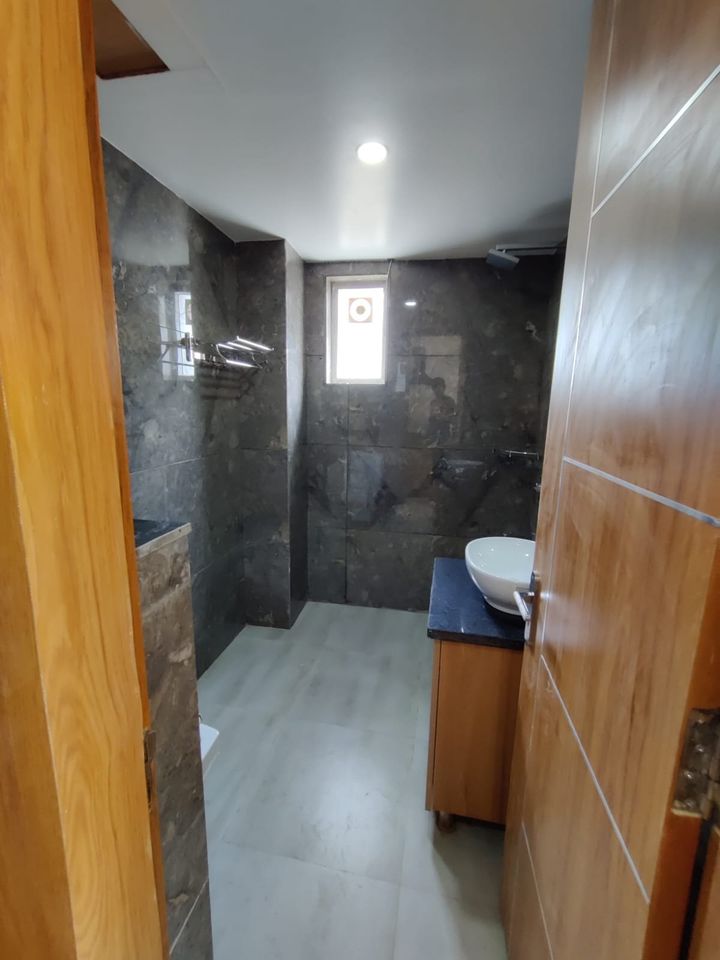 1RK · Furnished · Apartment
