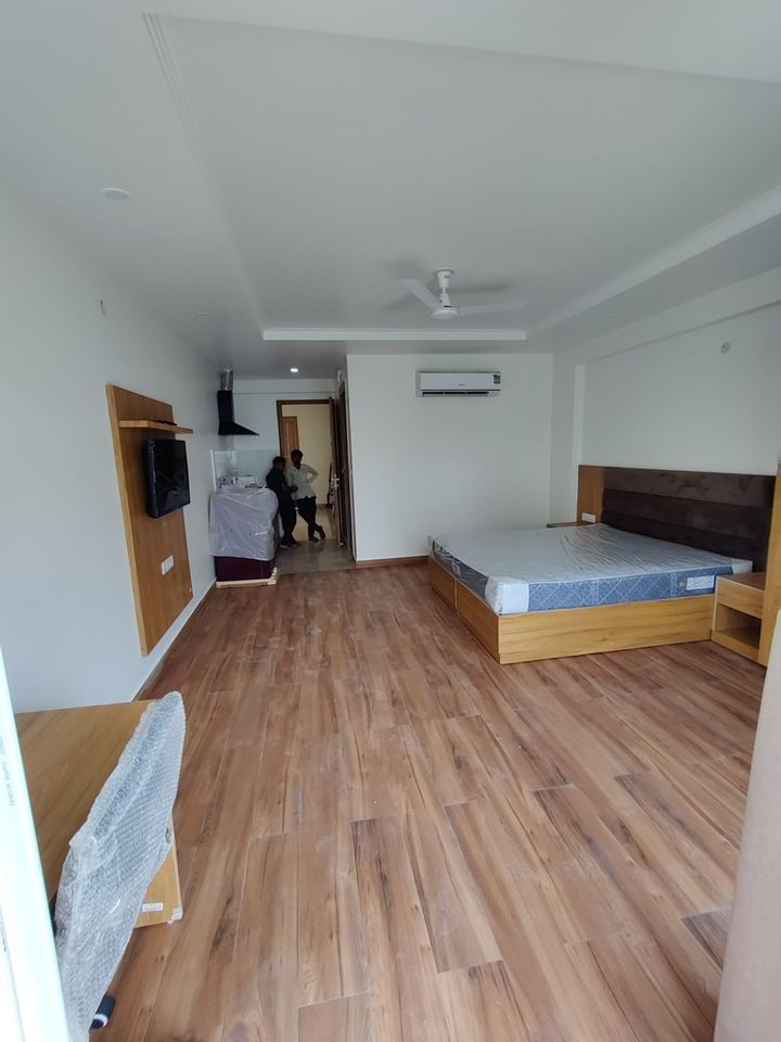1RK · Furnished · Apartment