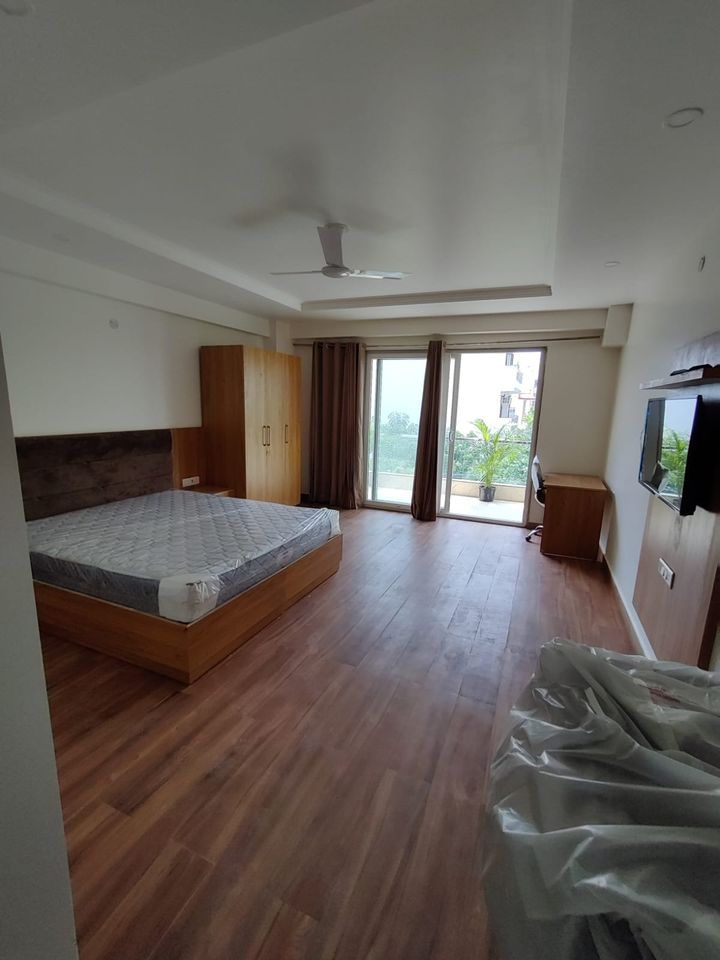 1RK · Furnished · Apartment