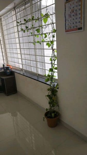 2BHK · Furnished · Apartment