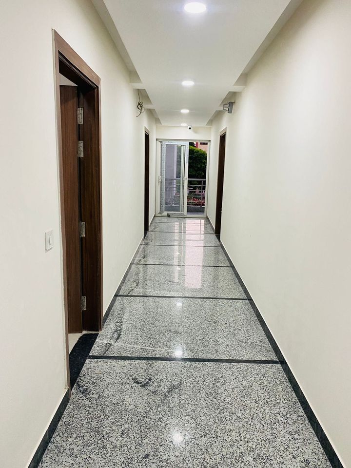 1RK · Furnished · Apartment