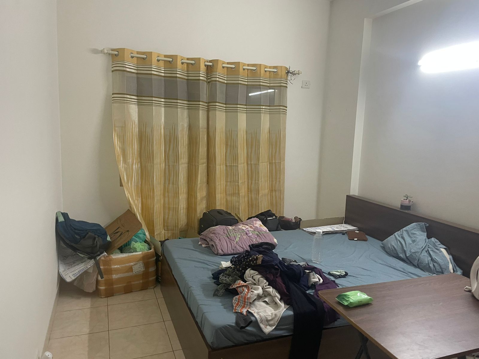 1RK · Furnished · Apartment