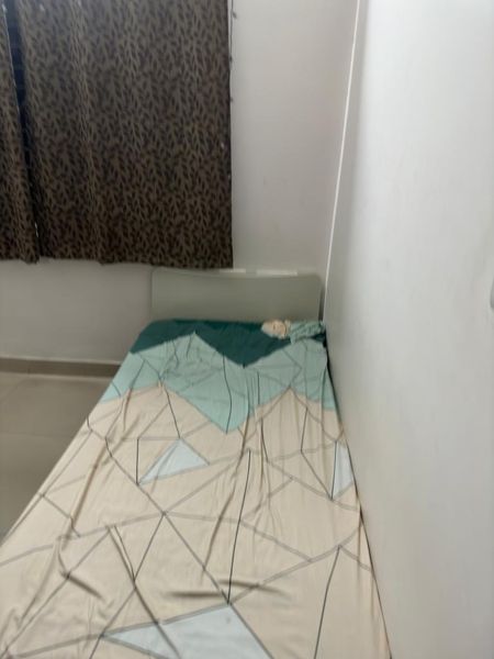 3BHK · Furnished · Apartment