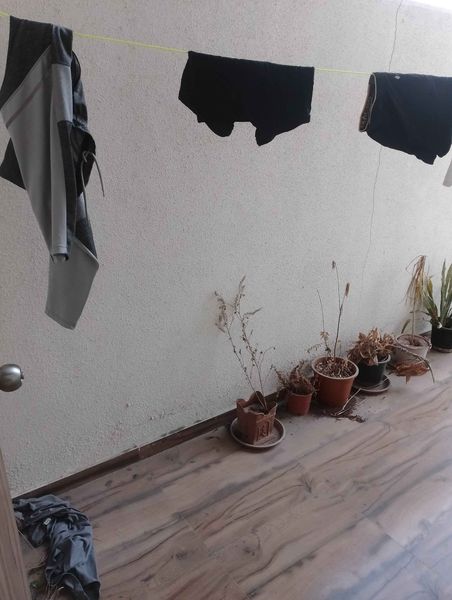 2BHK · Furnished · Apartment