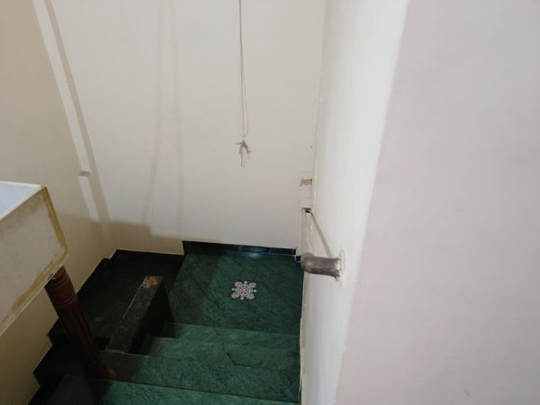 3BHK · Furnished · Apartment