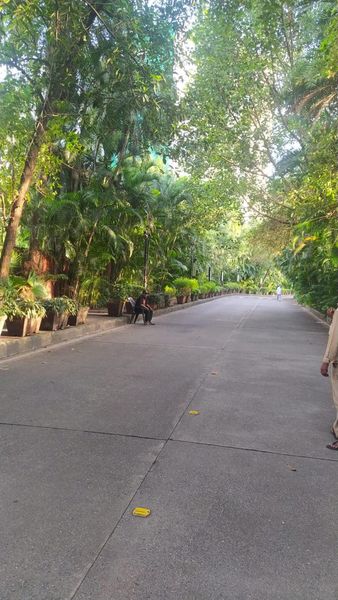 2BHK · Furnished · Apartment