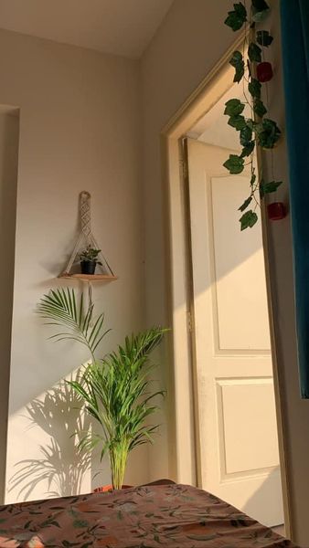 3BHK · Furnished · Apartment