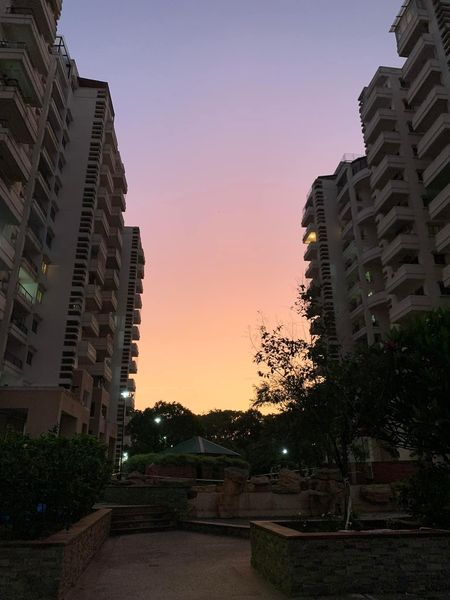 3BHK · Furnished · Apartment