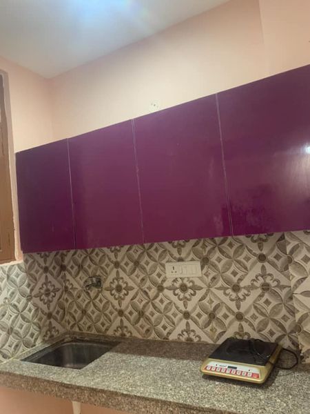 1RK · Furnished · Apartment