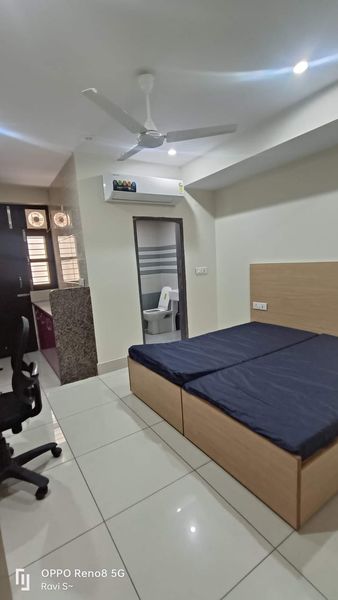 1RK · Furnished · Apartment