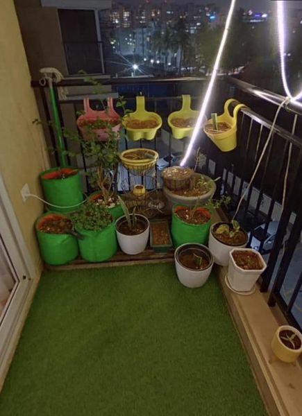 3BHK · Furnished · Apartment