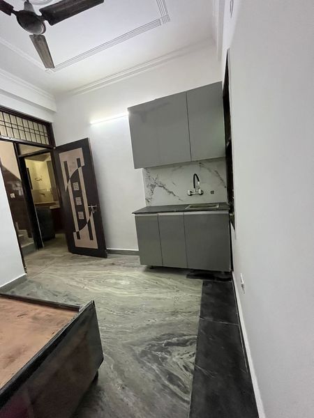 1RK · Furnished · Apartment
