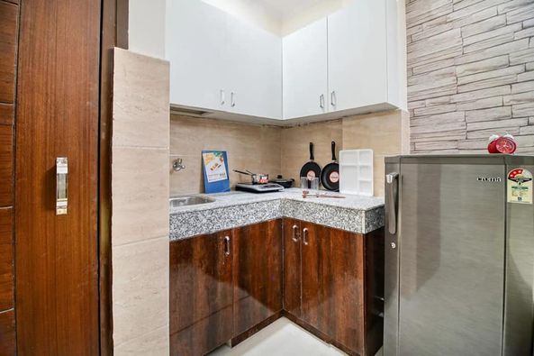 1RK · Furnished · Apartment