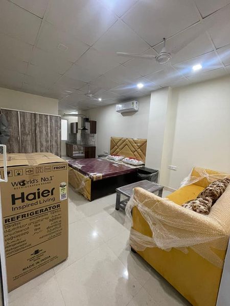 1RK · Furnished · Apartment