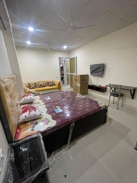 1RK · Furnished · Apartment