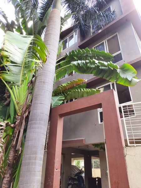 3BHK · Furnished · Apartment