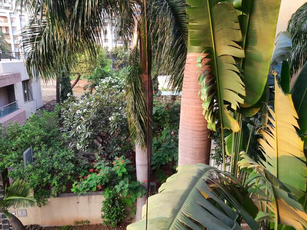 3BHK · Furnished · Apartment