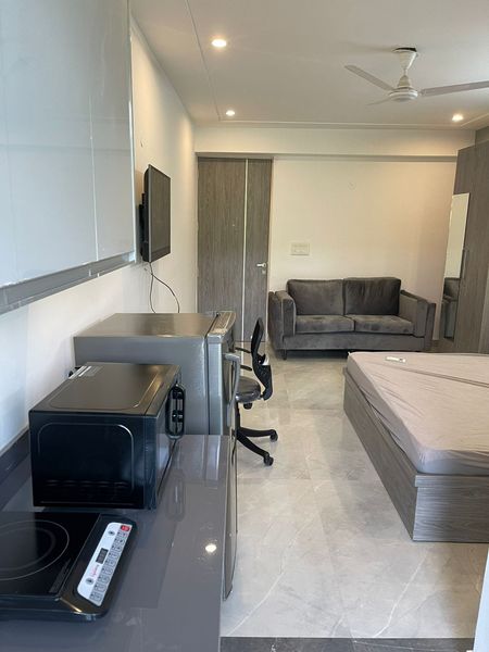 1RK · Furnished · Apartment