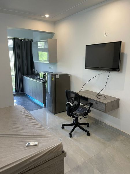 1RK · Furnished · Apartment