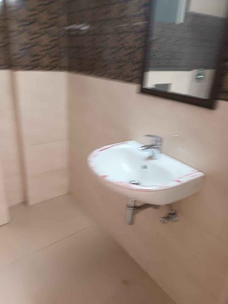 1RK · Furnished · Apartment