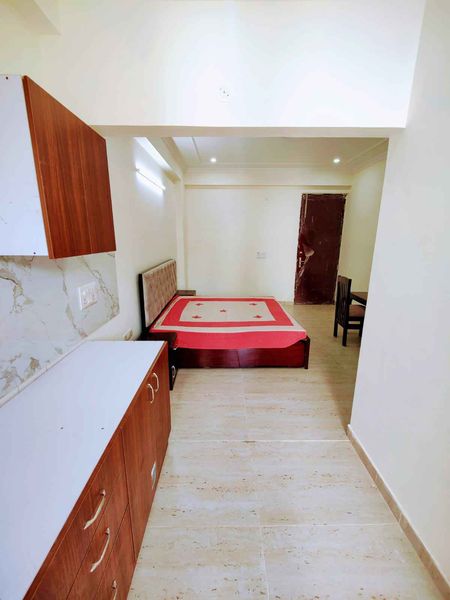 1RK · Furnished · Apartment