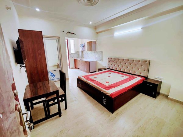1RK · Furnished · Apartment